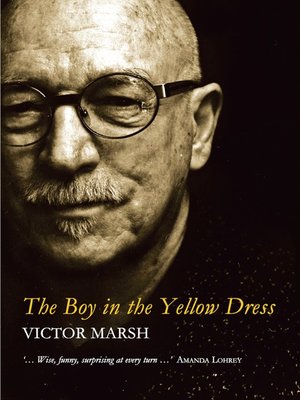 cover image of The Boy in the Yellow Dress